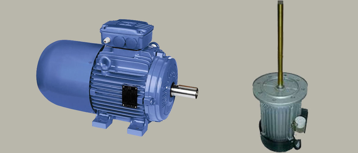 Heavy Duty Electric Motors & Industrial Electric Motors 