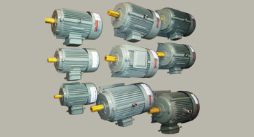 Industrial Electric Motors