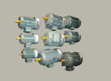 Industrial Electric Motors 